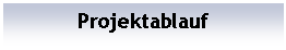 Textfeld: Projektablauf