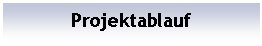 Textfeld: Projektablauf